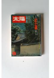 太陽 9