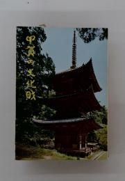 甲賀の丈化戝