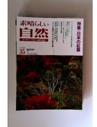 素晴らしい自然　ネイチャーフォト上達の指針　1995年秋号