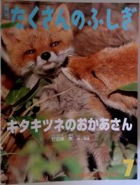 たくさんのふしぎ　キタキツネのおかあさん　2010年7月号