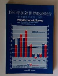 1985年国連世界経済報告　世界経済の現状と政策一