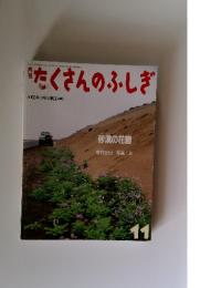 たくさんのふしぎ　2003年　11月号