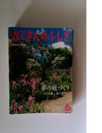 たくさんのふしぎ　２００６年　6月号