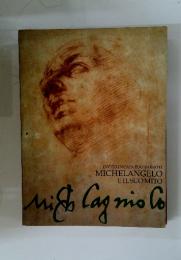 MichCagnioCo