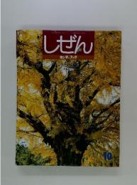 しぜん キンダーブック いちょう
