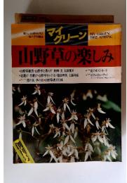マクリーン　1982年春号