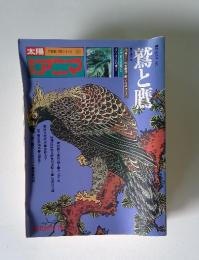 太陽　アニマ　鷲と奮