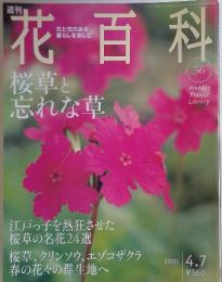 花百科　2005年4月7日号