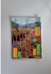 サライ　2002年3月号