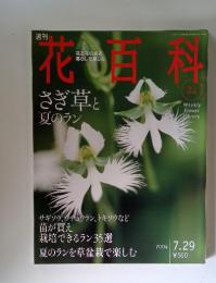 花百科 2004年7月29日号