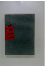 ピカビア展　Francis Picabia 1999-2000