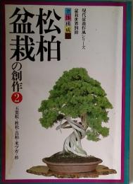 松柏盆栽　２