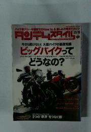 ビッグバイクって