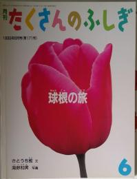 たくさんのふしぎ　1999年6月号　第171号