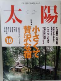 太陽　10　1998　小さくて