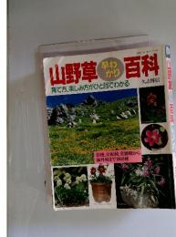 山野草早わかり百科―育て方、楽しみ方がひと目でわかる (主婦と生活生活シリーズ 268)