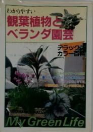 わかりやすい観葉植物とベランダ園芸