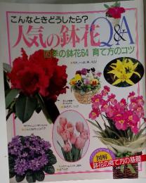 人気の鉢花Q&A  四季の鉢花64 育て方のコツ