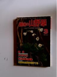 季節の山野草　1981年3月号