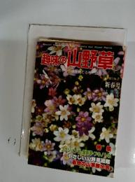趣味の山野草　1981年1月号