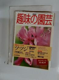 NHK趣味の園芸　1998年5月号