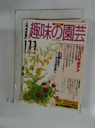 NHK趣味の園芸　1997年11月号