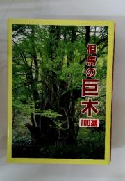 白馬の巨木