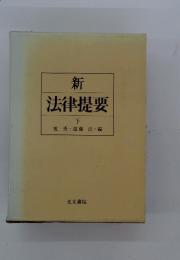 新　法律提要　下
