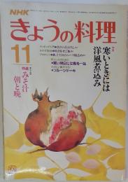 きょうの料理　11月　みそ汁朝と晩