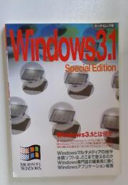 Window:3.1 Special Edition エーアイムック 85