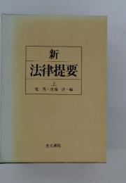 新 法律提要　上