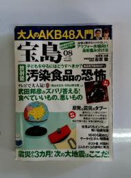 大人のAKB48入門　宝島　2011年8月号
