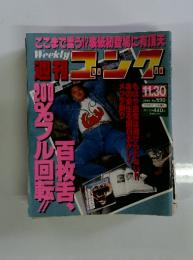 週刊ゴング No.590 1995年11/30号