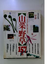 別冊家庭画報 早春 山菜・野草 157種