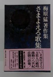 さまよえる歌集万葉