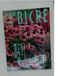 BICRE　2000年号　No48