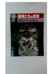 朝日百科　動物たちの地球26　ヨタカ・アマツバメ・ハチドリほか