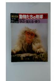 朝日百科動物たちの地球10