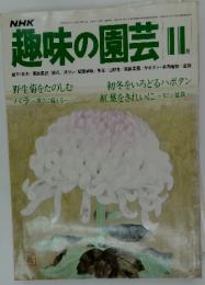 NHK　趣味の園芸 　1979年   11月号