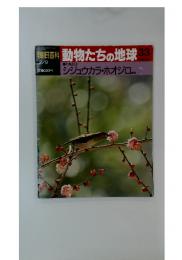朝日百科 動物たちの地球 33 シジュウカラ・ホオジロ