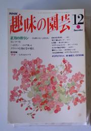 NHK　趣味の園芸　正月の洋ラン