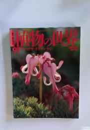 直物の世界　1991年1月21日号