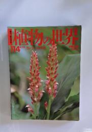 植物の世界　114　カンナ　ショウガ