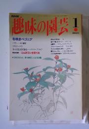趣味の園芸　1月号 冬咲きベゴニア
