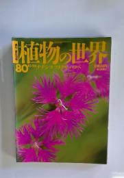 植物の世界80　10/29号　 ナデシコツメクサハコベ