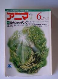 アニマ　1989年6月号