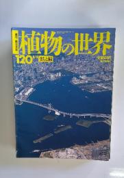 植物の世界120　8/11　まちと緑