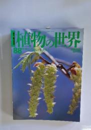 植物の世界88　12/24　シラカンバクルミ