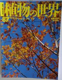 植物の世界　87　12月17日号　ヤマモモクリブナ