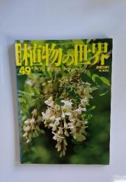 植物の世界　49　3/26　フジルピナス クローバー